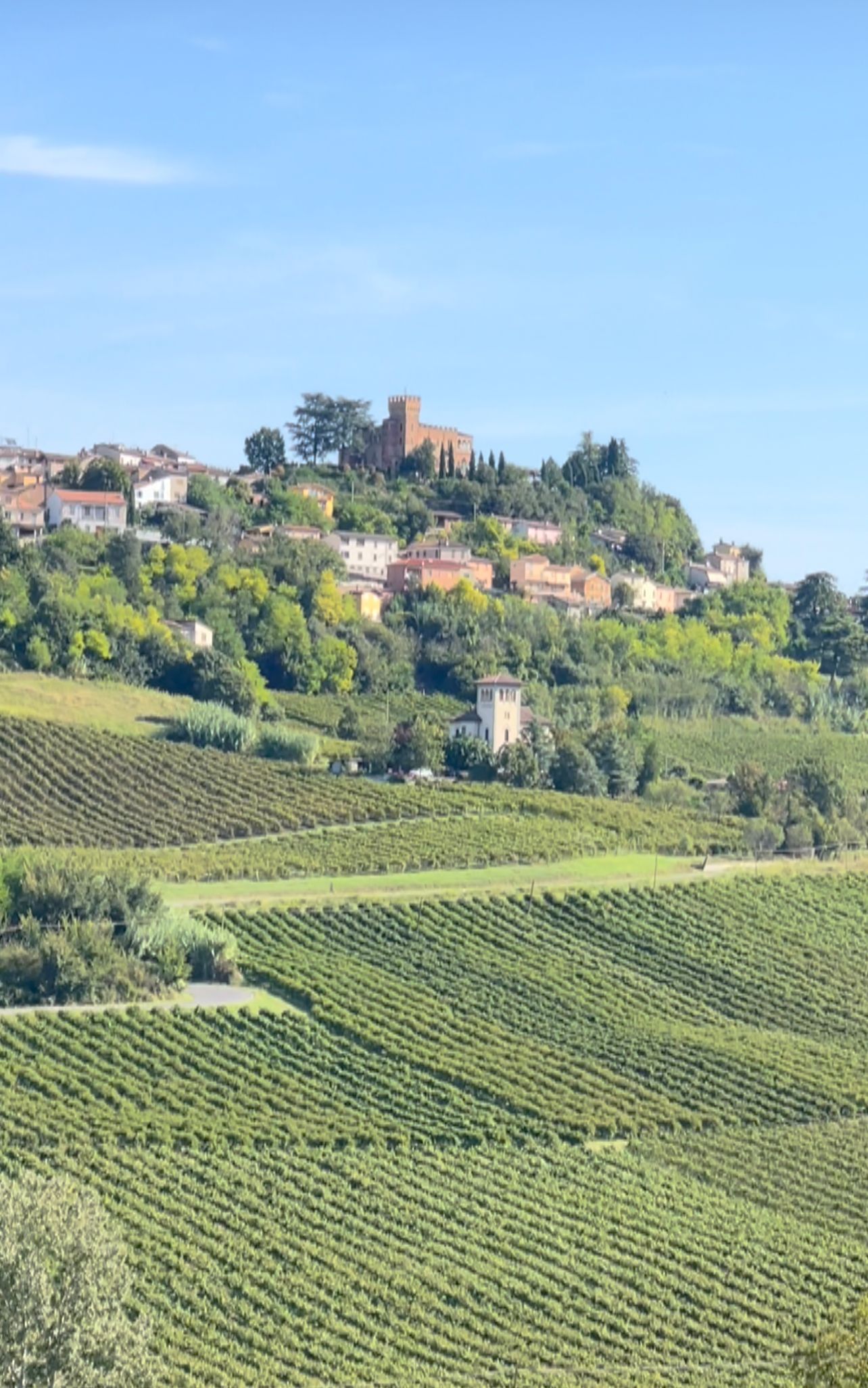 Rolling green vineyards lead up to a hilltop village with houses and a tower under a blue sky.