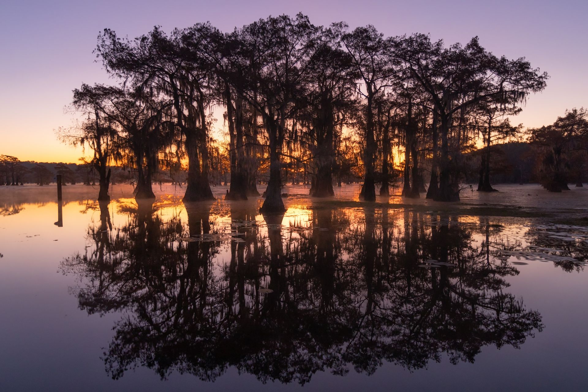 Foggy lake scene with Spanish moss hanging from tree branches. Calm water reflects the trees.