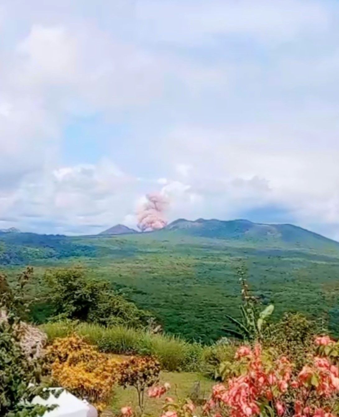 Distant volcanic eruption over green hills and colorful flowers under a cloudy sky