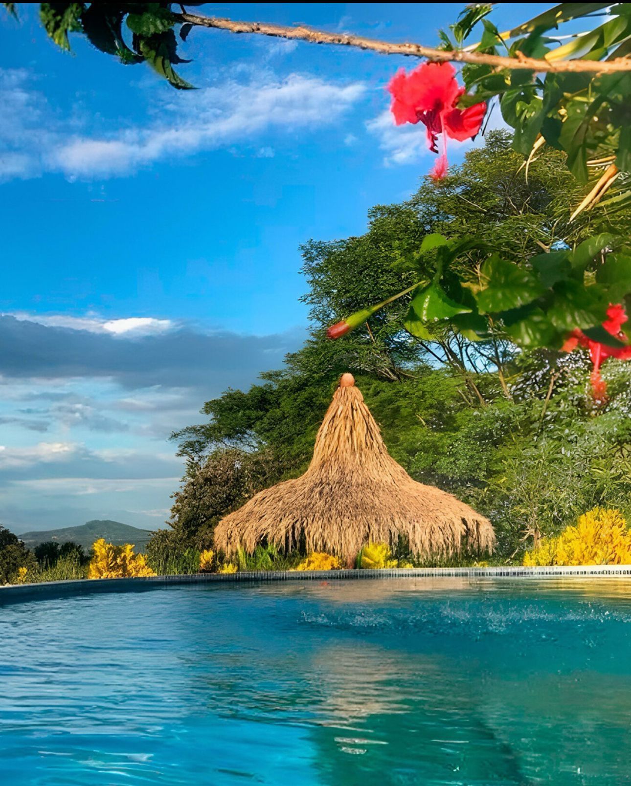 Tropical pool with blue water, thatched hut, lush green trees, and bright red flowers under a sunny sky