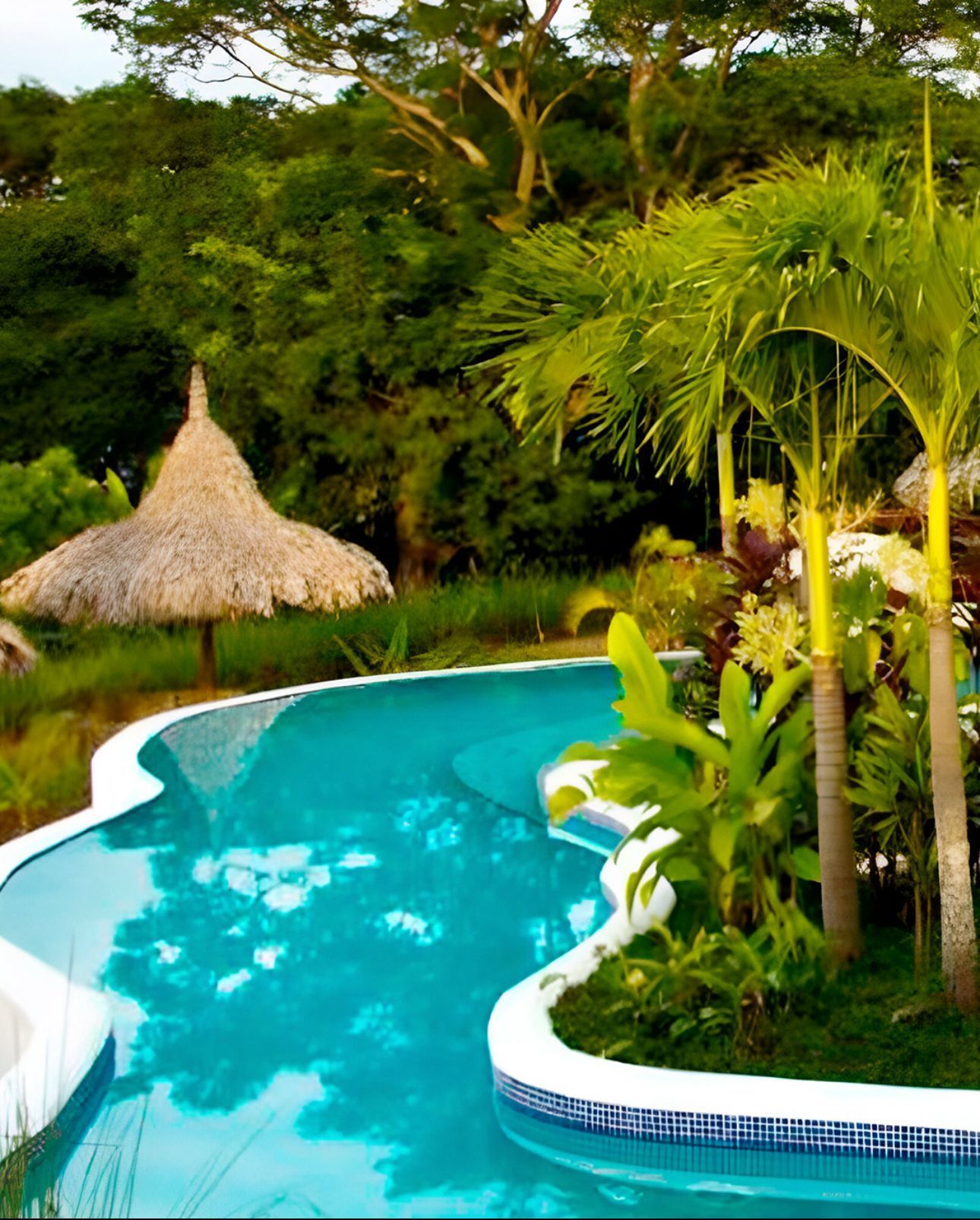Tropical resort pool with bright blue water, palm trees, and a thatched hut amid lush greenery