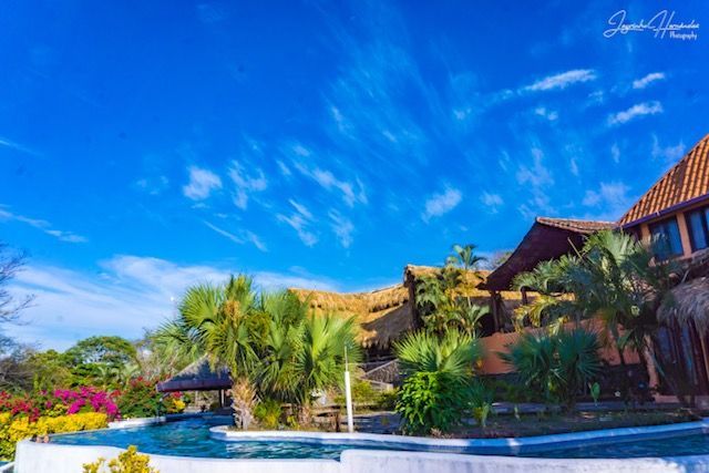 Luxury resort with turquoise pool, palm trees, and colorful flowers under a bright blue sky
