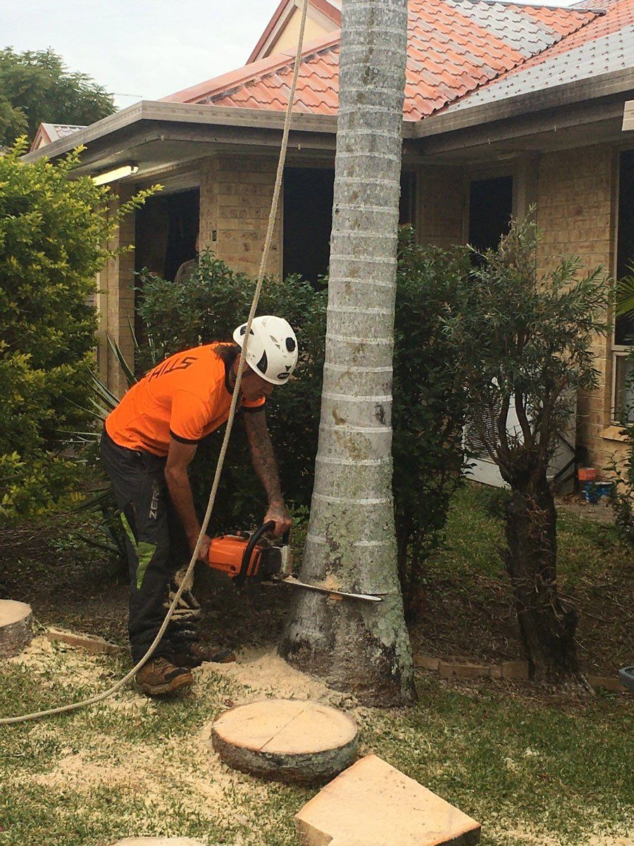 A worker in a bright orange shirt and safety helmet uses a chainsaw to cut a tall palm tree in a residential yard.