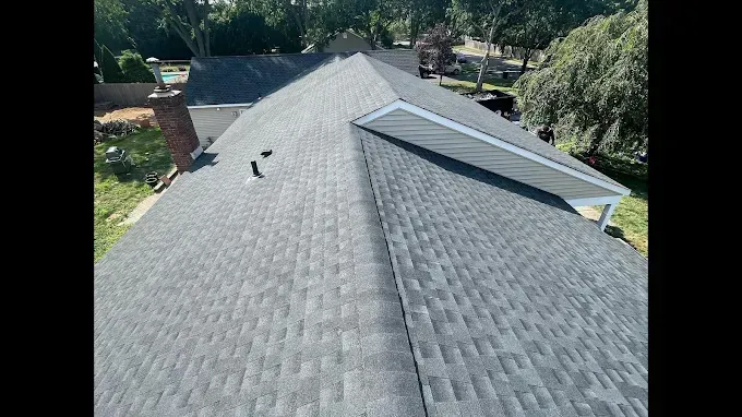 Aerial view of a gray shingled roof with a chimney and surrounding trees.