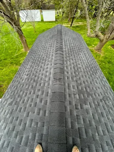 Standing on a shingled roof with trees and a white fence in the background