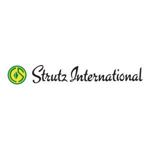 Strutz International logo image