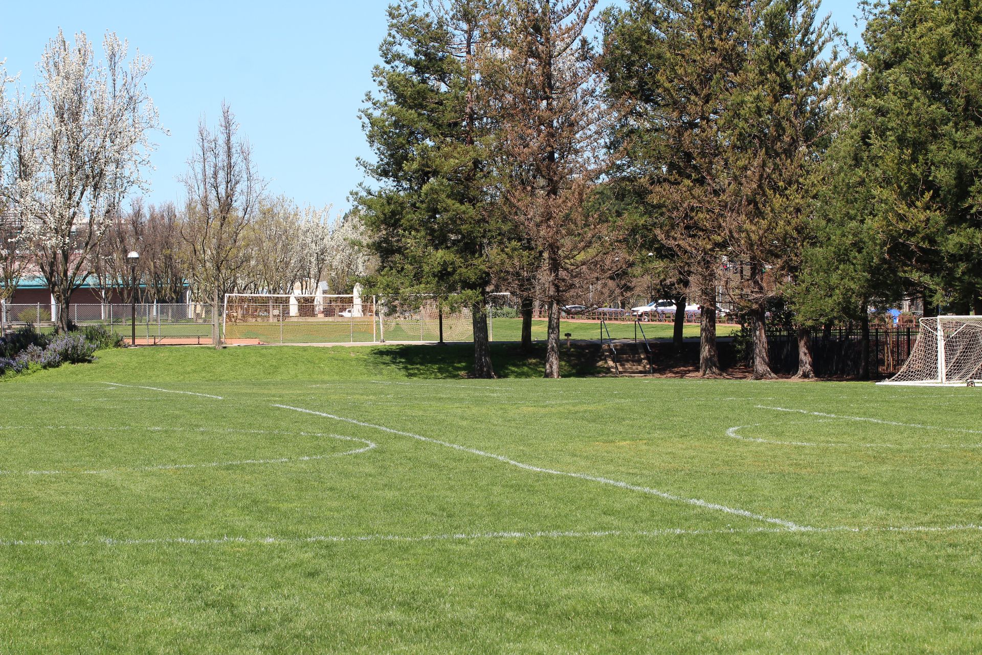San Ramon FC
