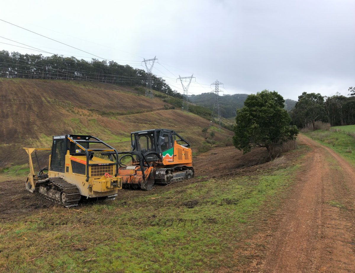 Vegetation management
