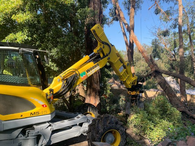 Hazardous tree removal