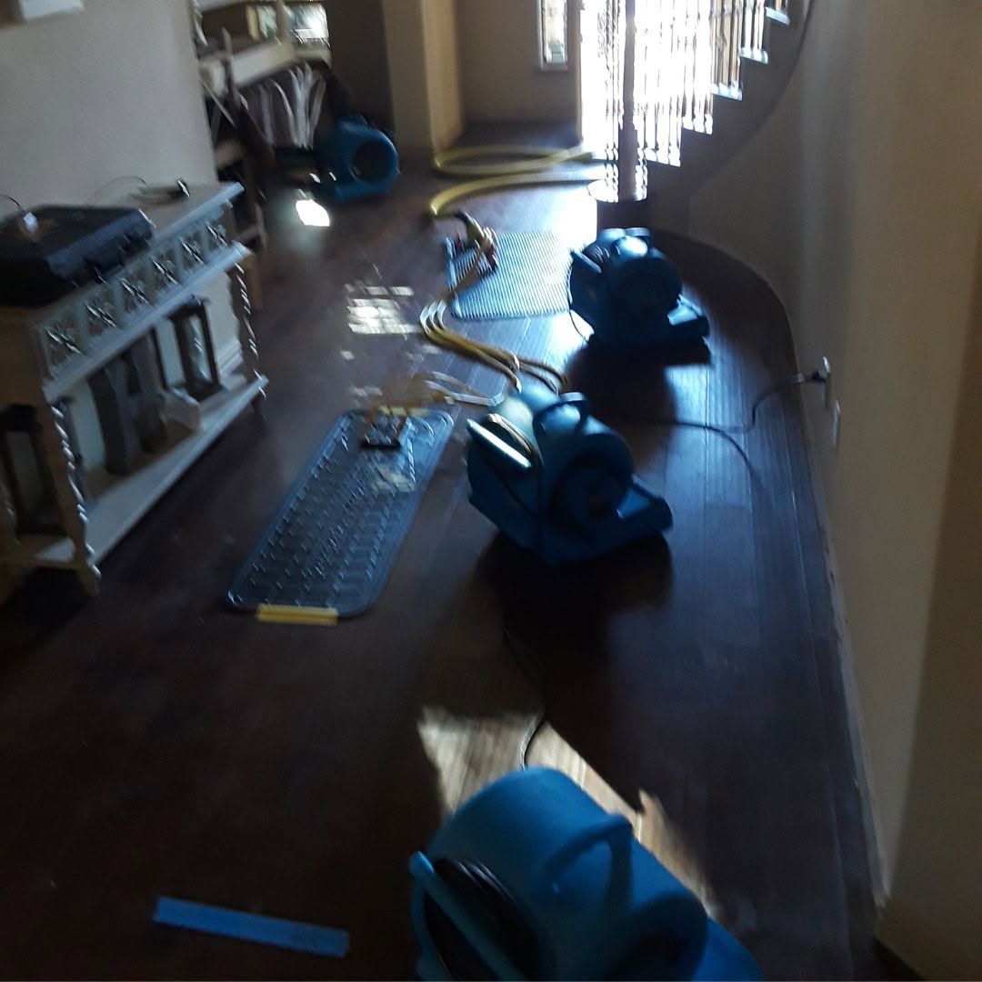 Indoor room with several blue and yellow toy vacuum cleaners lined up on a wooden floor.