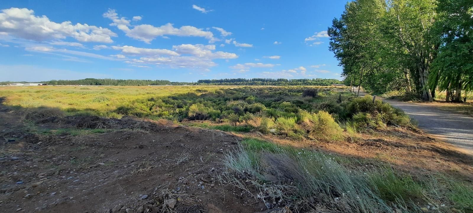 Amplio campo rural bajo un cielo azul con nubes dispersas, un primer plano cubierto de hierba y árboles a lo lejos en el horizonte.