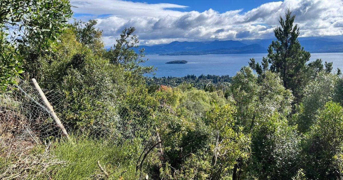 Ladera cubierta de arbustos con vistas a un lago azul bajo un cielo nublado y montañas a lo lejos.