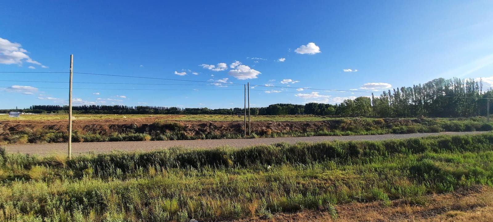 Amplio campo rural bajo un cielo azul con nubes dispersas, un primer plano cubierto de hierba y árboles a lo lejos en el horizonte.