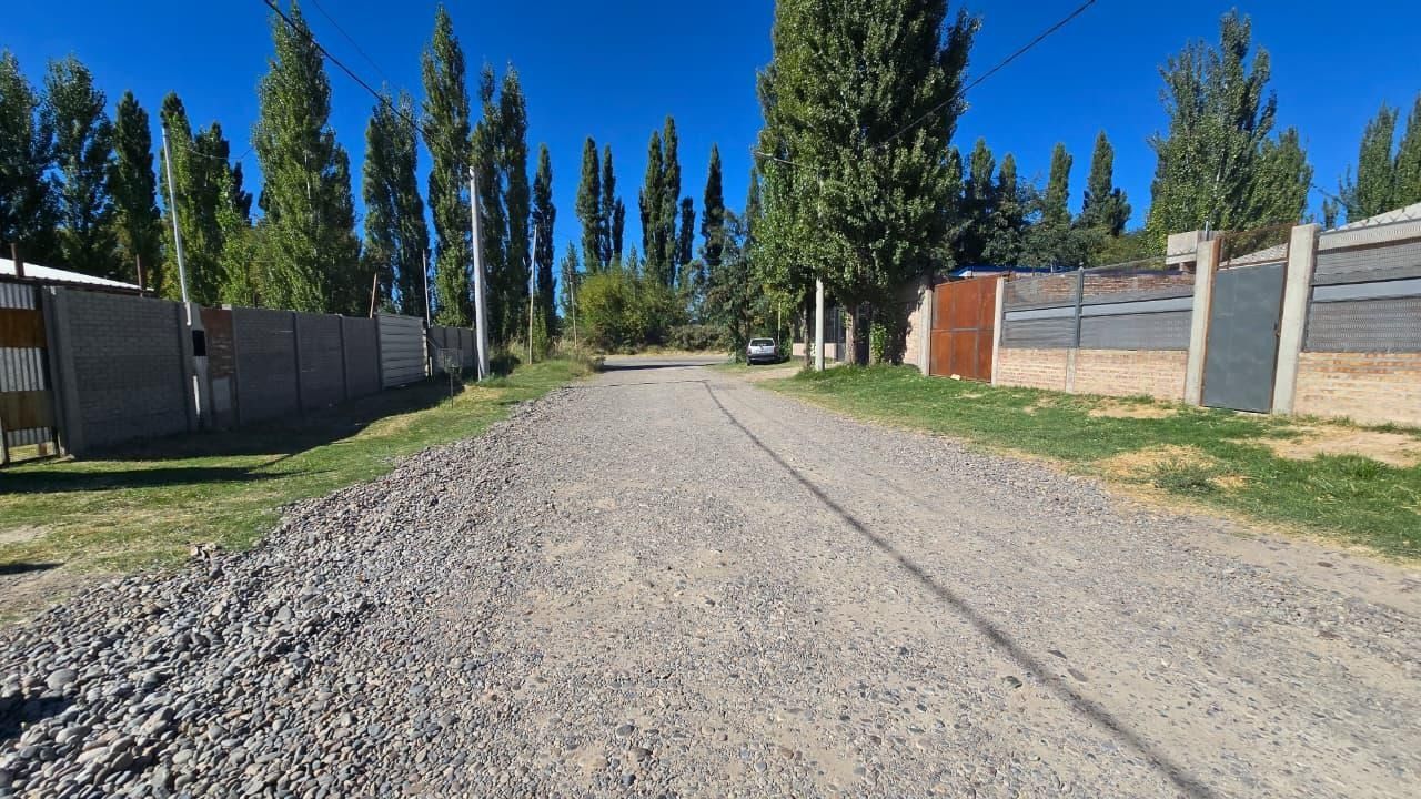Patio trasero con césped, muro de la casa, área de patio y valla alta de ladrillo bajo un cielo azul claro.