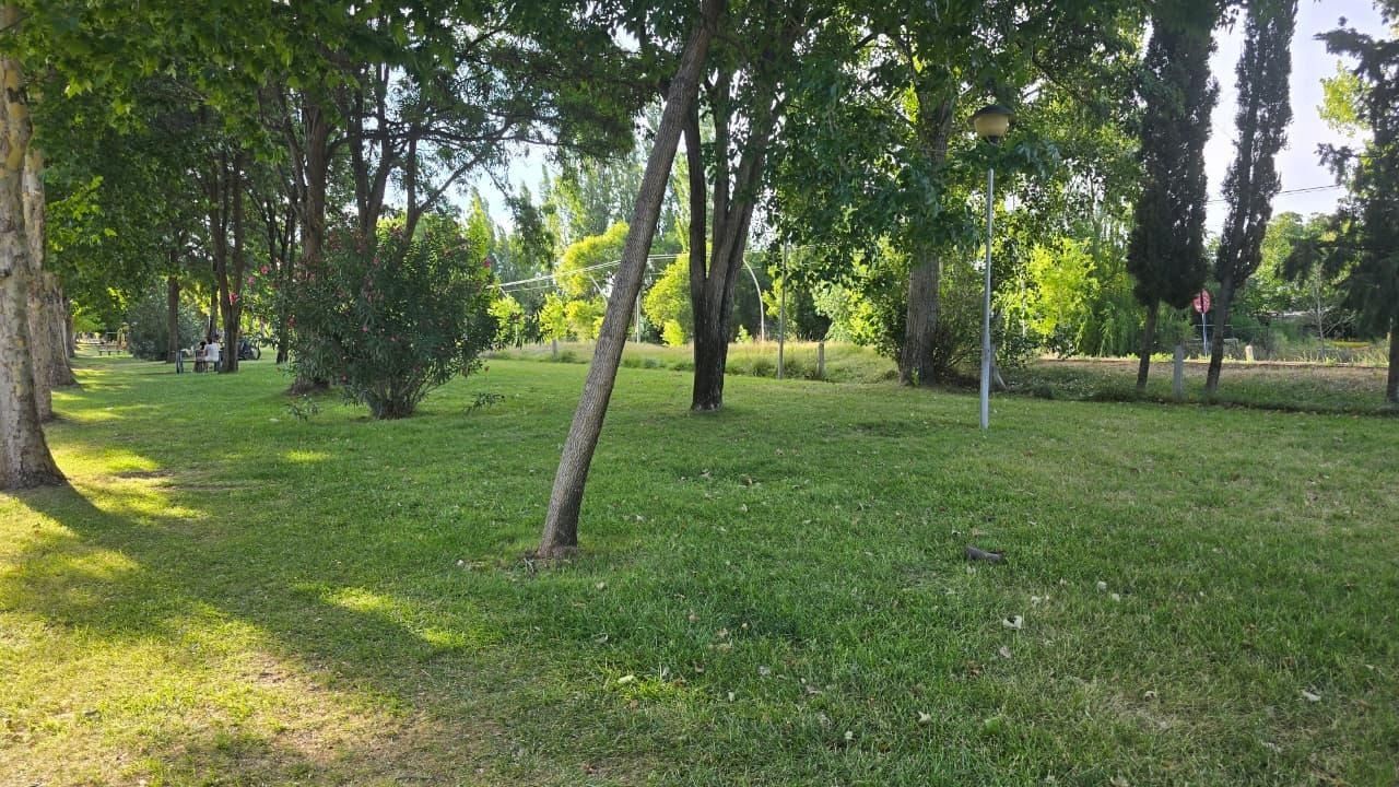 Entrada a una casa residencial con camino de acceso cerrado, césped verde, árboles y una calle tranquila al frente.