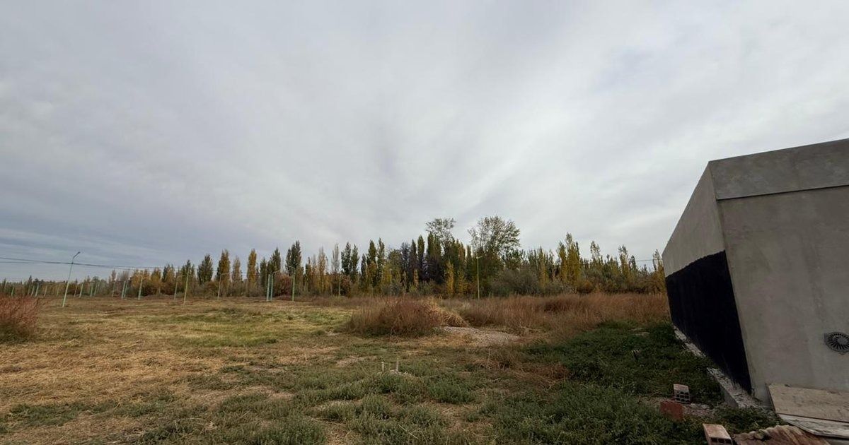 Campo de hierba bajo un cielo nublado, con árboles a lo lejos y una estructura de hormigón a la derecha.