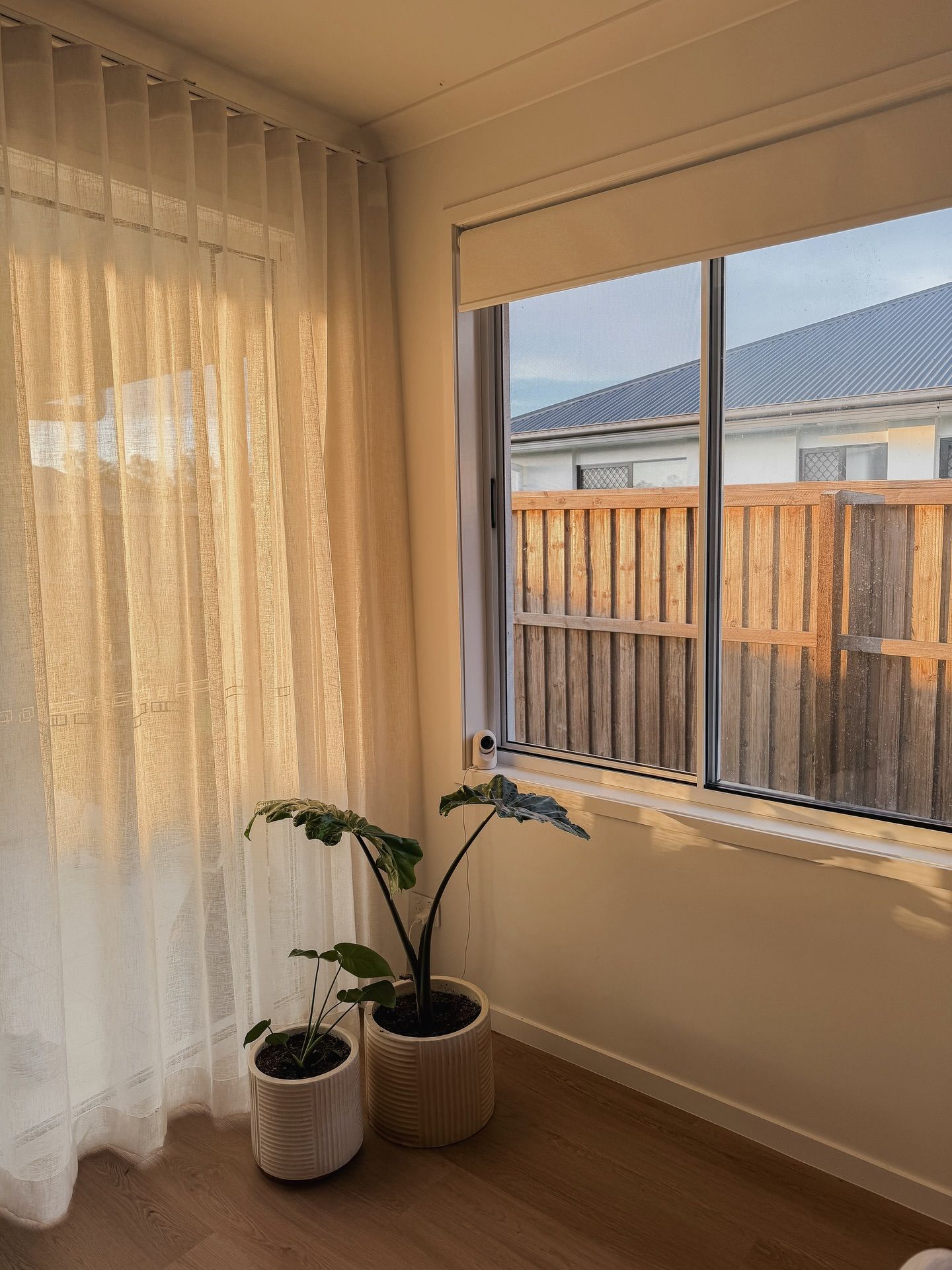 Sunlit corner room with sheer curtains, window — Totally Flooring Gold Coast In Bundall, QLD
