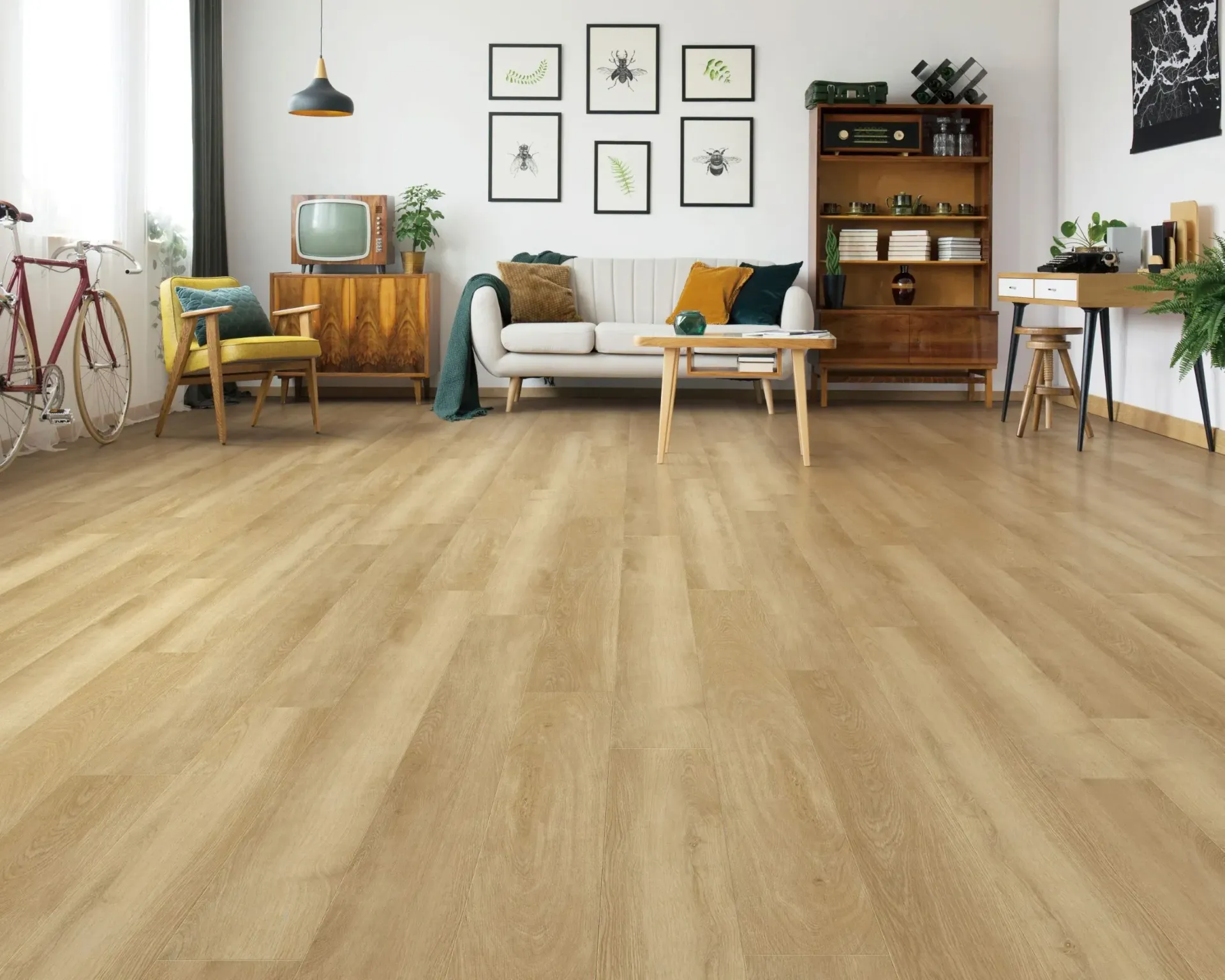 Stella Ashen Oak 573 — Totally Flooring Gold Coast In Bundall, QLD
