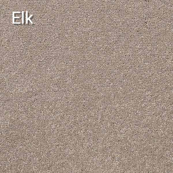 Astrid Elk — Totally Flooring Gold Coast In Bundall, QLD