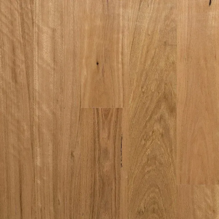 Select Australian Timber MB Blackbutt — Totally Flooring Gold Coast In Bundall, QLD