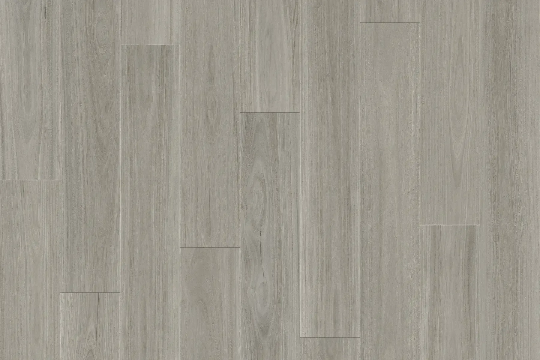 Savannah Blackbutt 909M — Totally Flooring Gold Coast In Bundall, QLD
