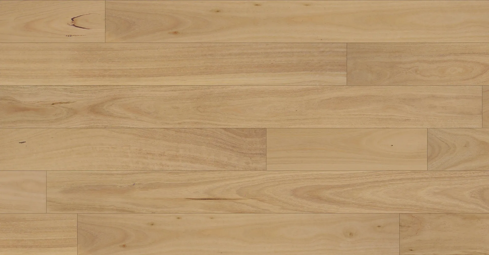 Daintree Blackbutt — Totally Flooring Gold Coast In Bundall, QLD