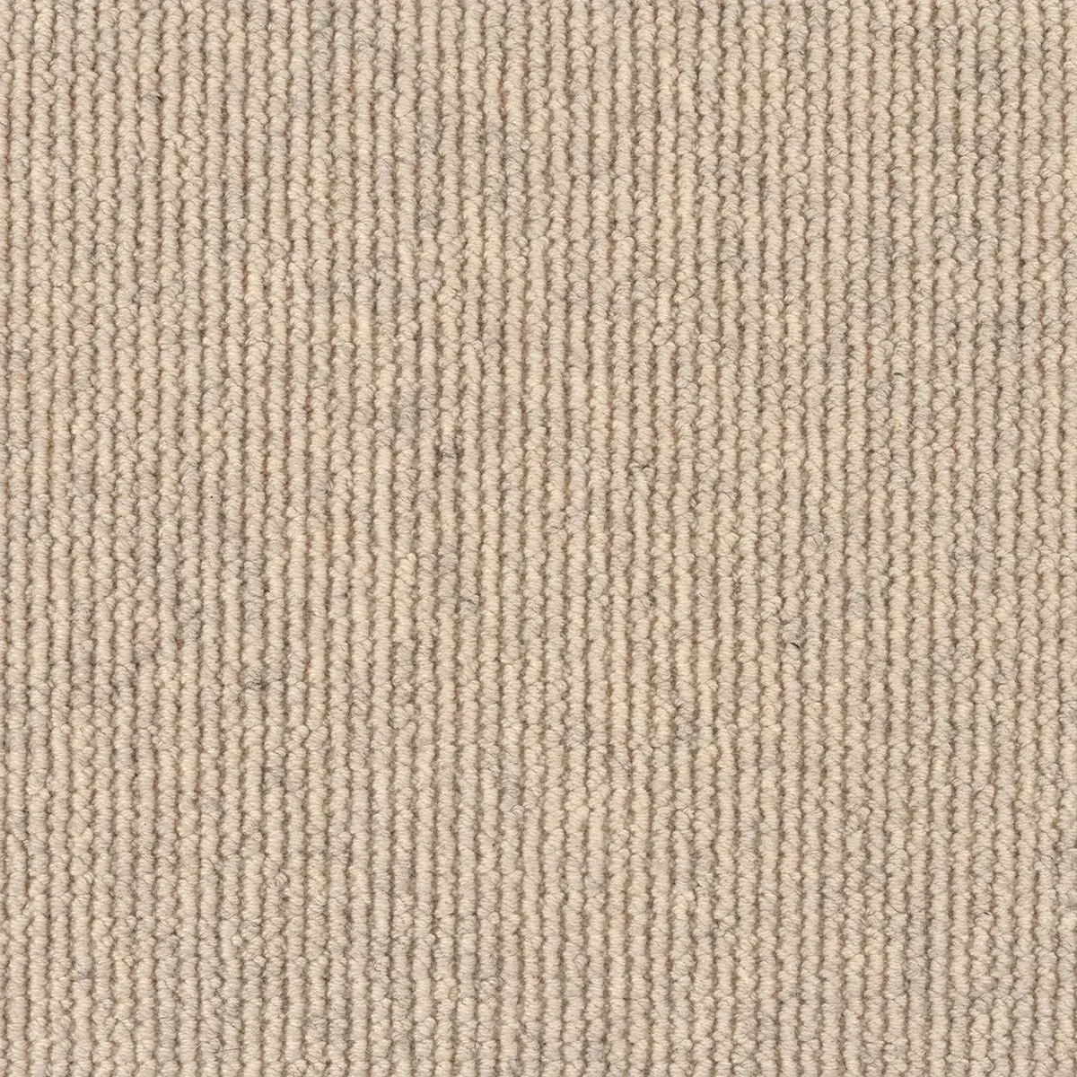 Dawson Falls Pure Wool Carpet - Meadow — Totally Flooring Gold Coast In Bundall, QLD
