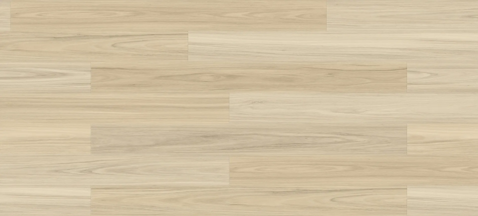 Plantino Laminate Barrett Coastline Blackbutt — Totally Flooring Gold Coast In Bundall, QLD