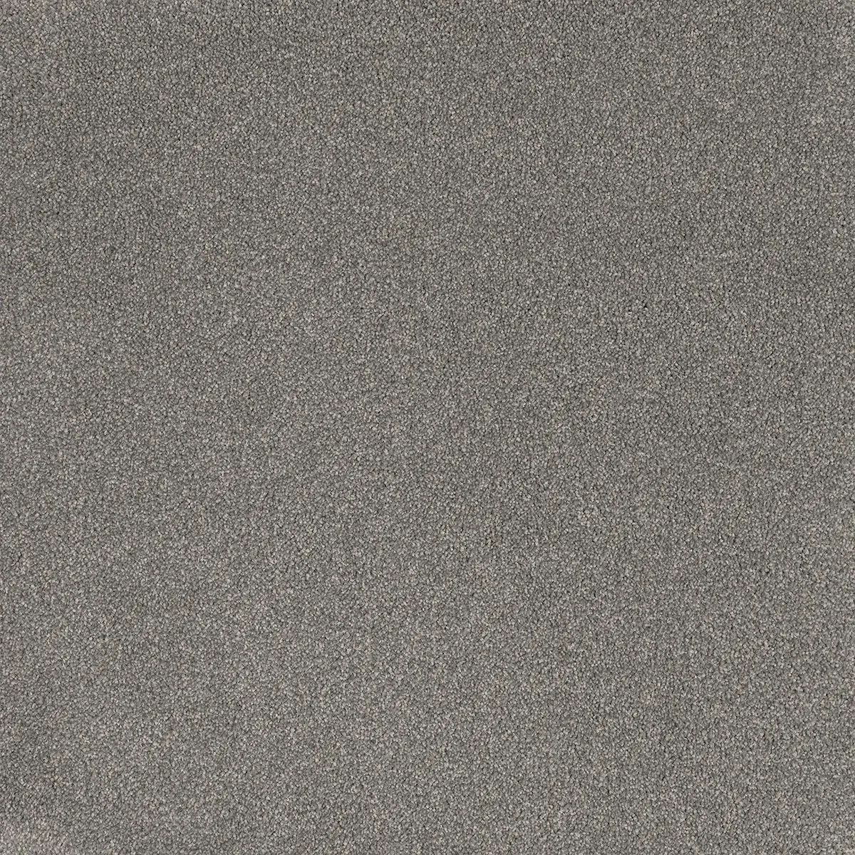 Comfort Touch Solution Dyed Nylon Carpet - Quiet — Totally Flooring Gold Coast In Bundall, QLD