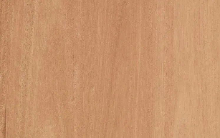 Tahoma Luxury Vinyl Plank 2.5mm Oberon Blackbutt — Totally Flooring Gold Coast In Bundall, QLD