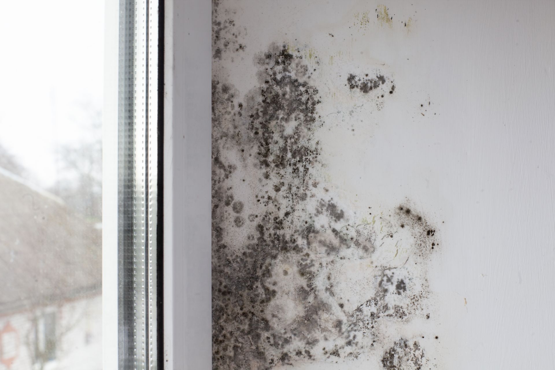 mur avec moisissure et fenêtre