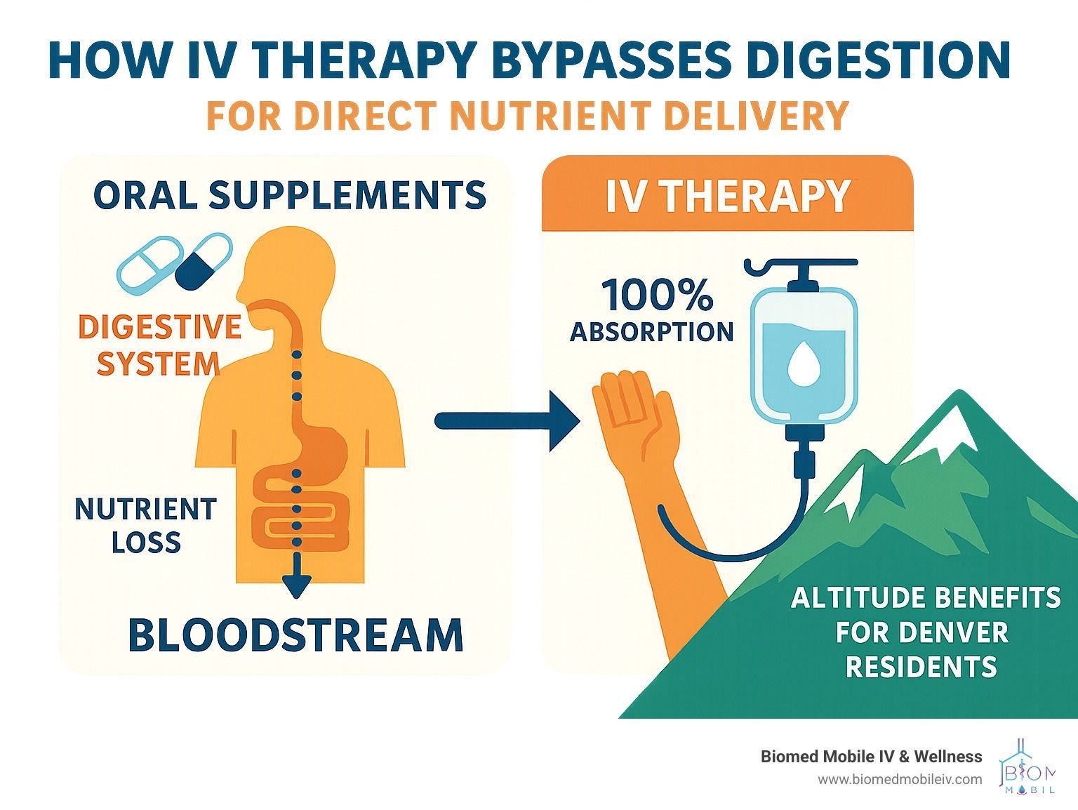 A diagram of how iv therapy bypasses digestion for direct nutrient delivery.