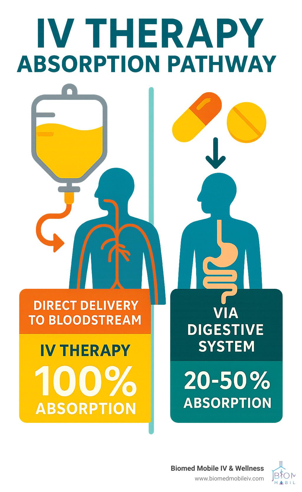 A poster showing the iv therapy absorption pathway