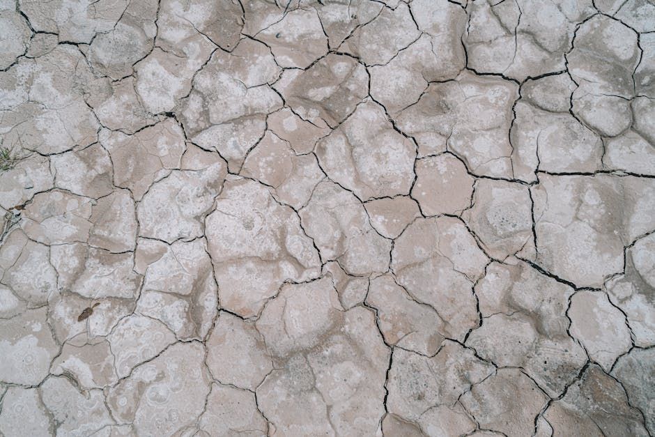 A close up of a cracked concrete surface.