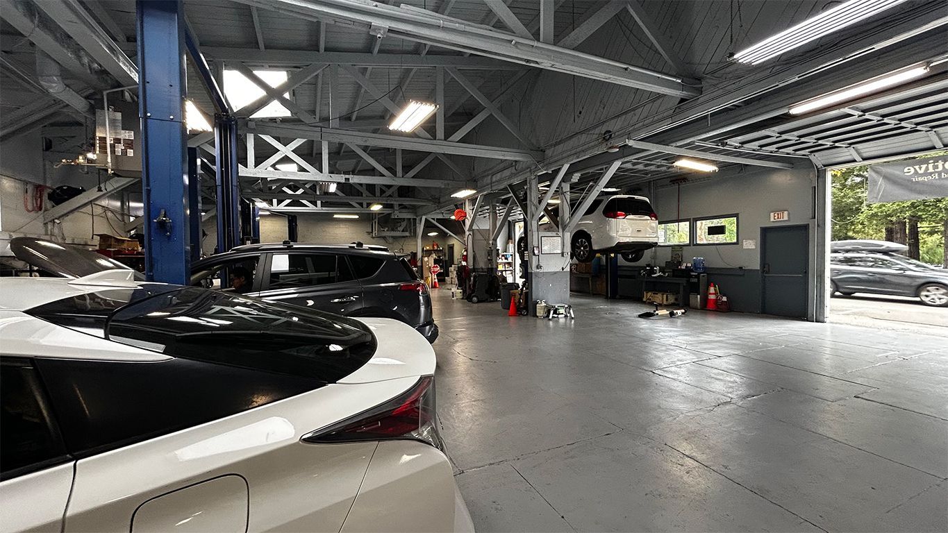 Interior of a modern car showroom with sleek cars, people, and industrial steel beams overhead | Marin Automotive