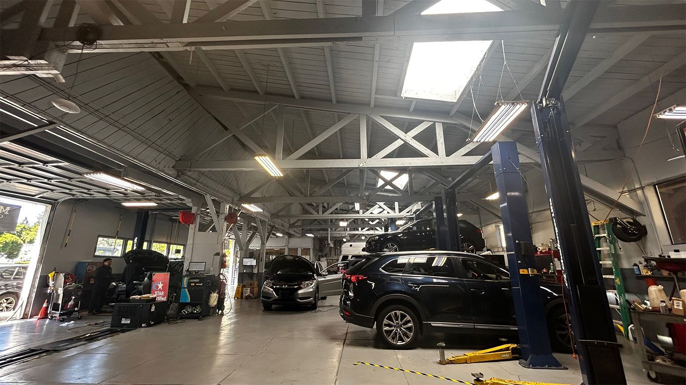 Auto repair shop interior with cars on lifts, overhead lights, and exposed ceiling beams | Marin Automotive
