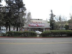 Exterior of a low-rise building with a sign, trees, bushes, and a parked car beside a road | Marin Automotive