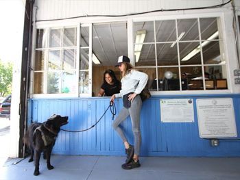 Woman holding a leash and facing a black dog at a blue service counter window | Marin Automotive