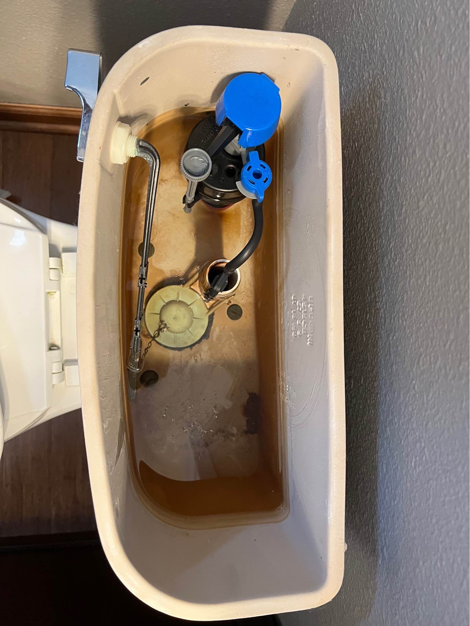 The inside of a toilet tank with a blue cap on it.