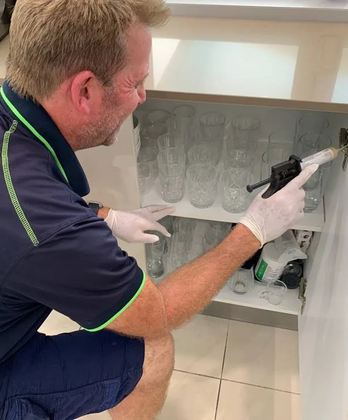 Pest Control — Pest Management in Sippy Downs, QLD Pest Control — Core Pest Management in Buderim, QLD