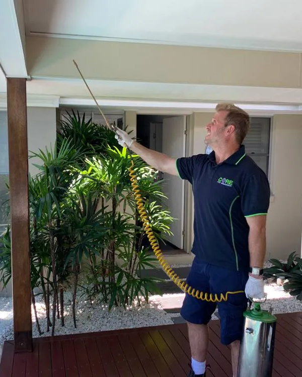 Core Pest Management Crew Spraying Pesticides — Pest Management in Sippy Downs, QLD Core Pest Management Crew Spraying Pesticides — Core Pest Management in Buderim, QLD