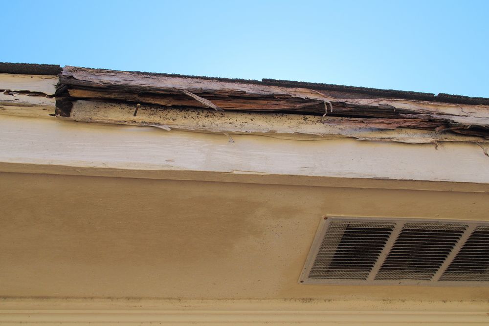 Termatrac Pest Inspection Tools — Pest Management in Sippy Downs, QLD A Roof With a Hole in It and a Vent on It — Core Pest Management in Coolum Beach, QLD