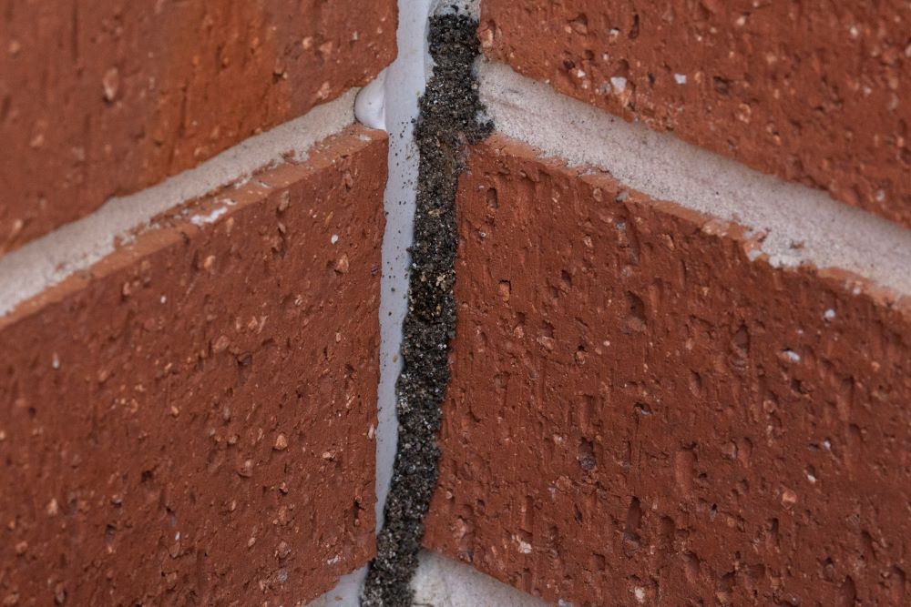 A Close Up of a Brick Wall With a White Joint Between Two Bricks — Core Pest Management in Noosa Heads, QLD