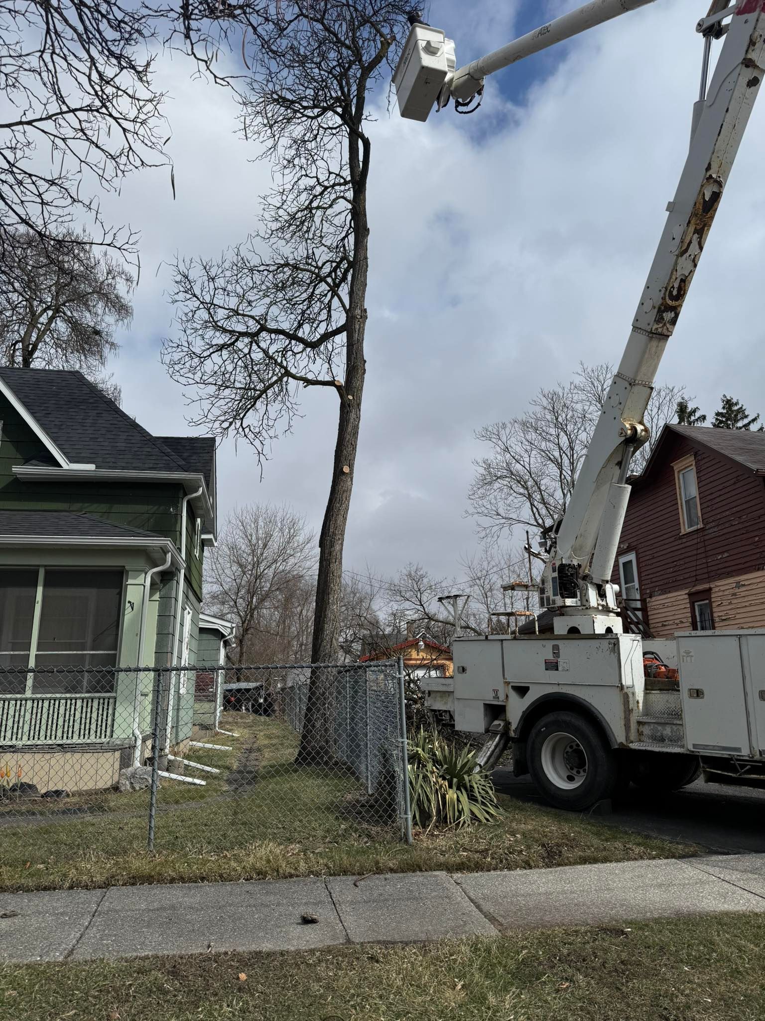 Bucket truck trimming a tall tree beside a house on a residential street.