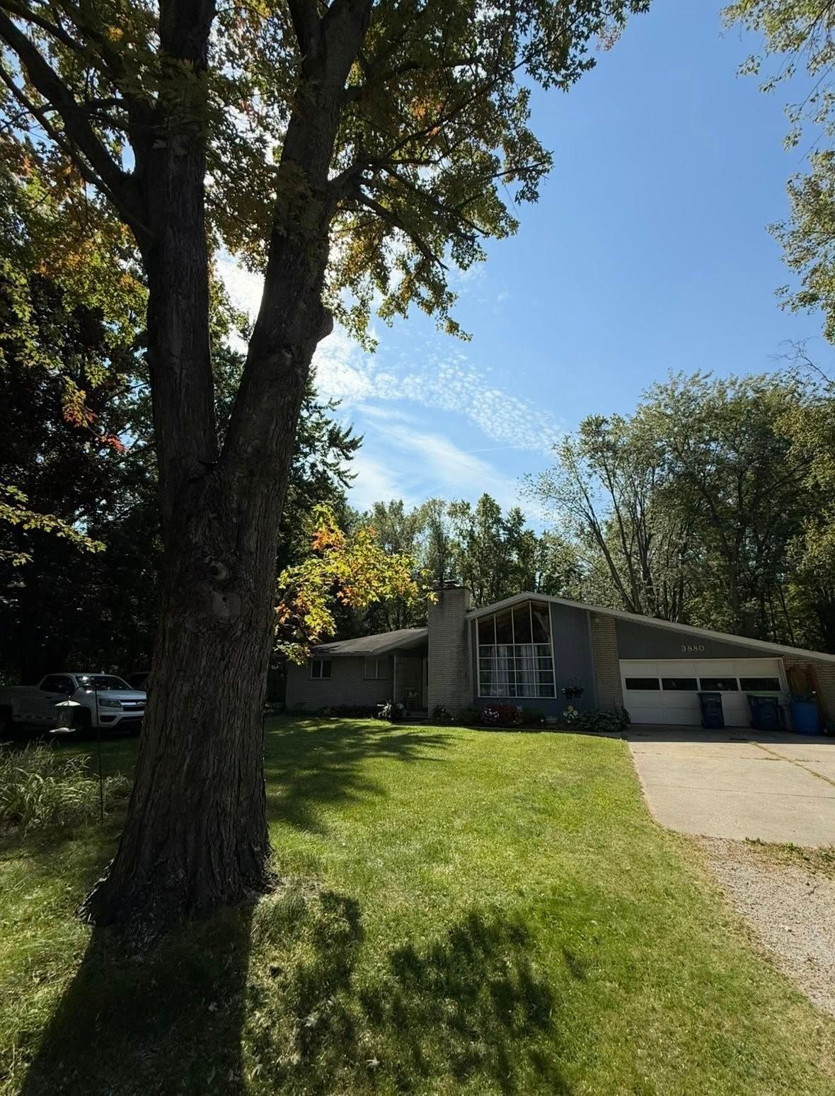 Suburban house with a large tree and sunny front lawn beside a driveway