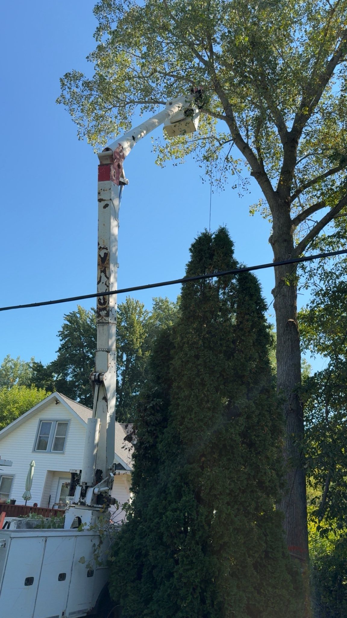 Tree worker in a bucket lift trimming branches beside a house on a sunny day