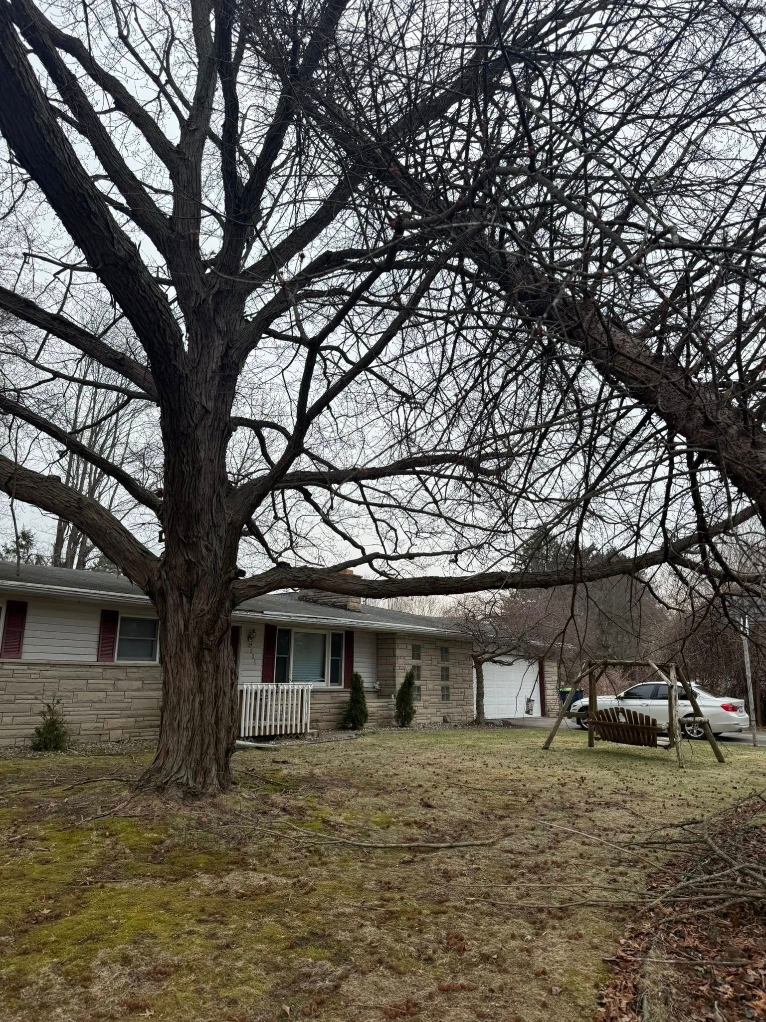 Leafless trees in front of a small house with a garage and yard in winter