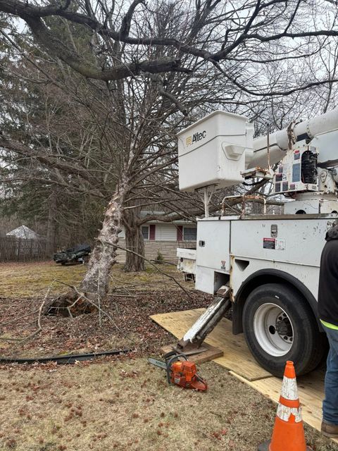 Utility bucket truck beside a tree, with crew equipment and orange traffic cones on a grassy yard.