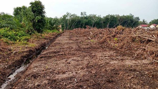 Cleared dirt path through a field with trees and brush on both sides under an overcast sky