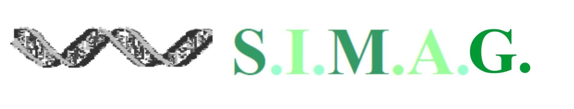 Homepage